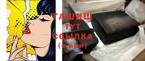 мдпв Ладушкин