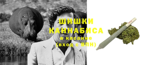 мдпв Ладушкин