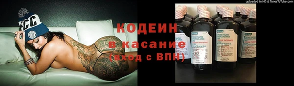 Альфа ПВП Лагань