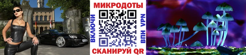 Галлюциногенные грибы ЛСД  ОМГ ОМГ сайт  Елизаветинская  где купить  